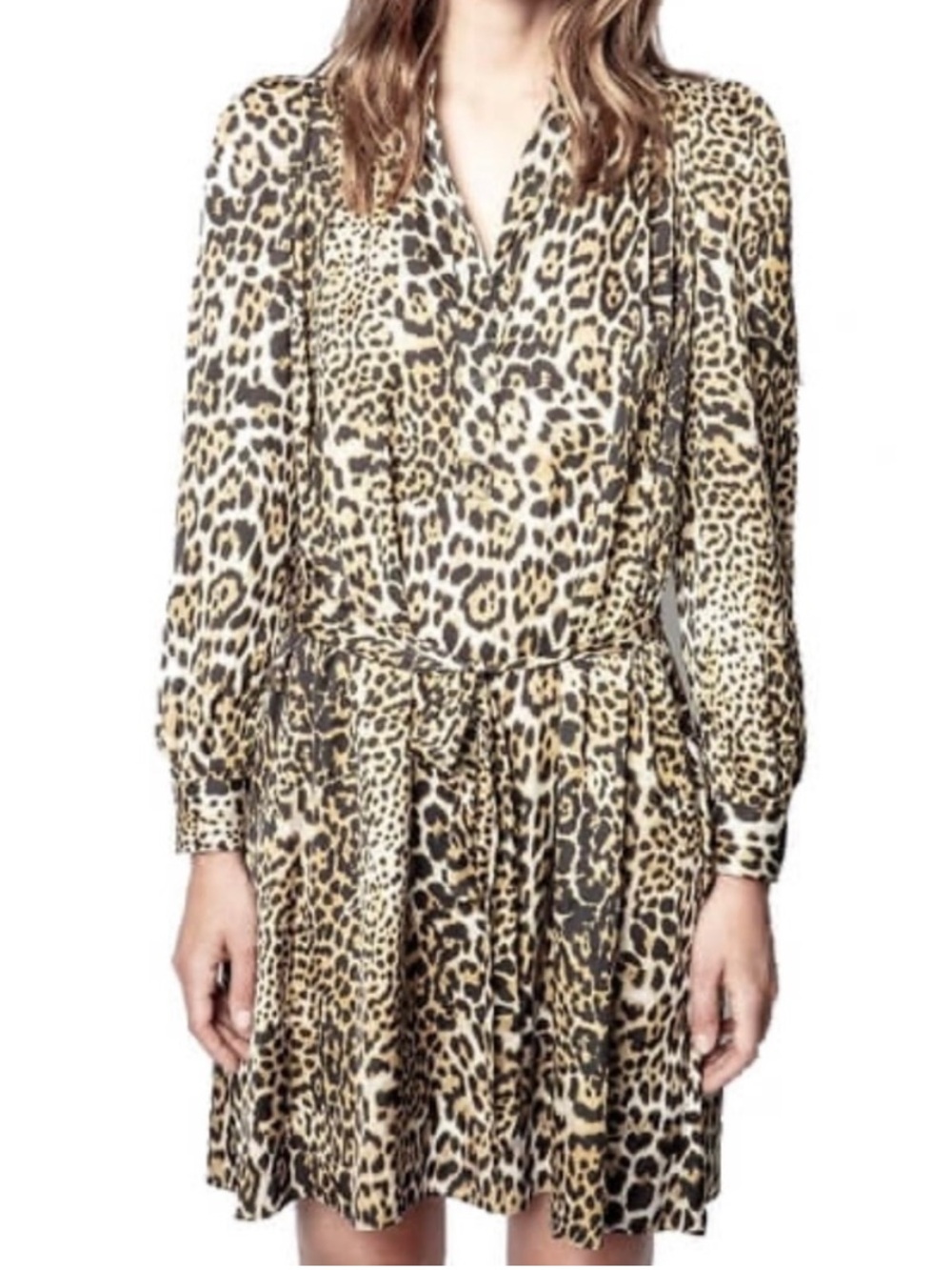 Zadig and Voltaire Leopard Print Dress